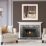 Kingsman - IDV34 - Direct Vent Fireplace Insert - 34"