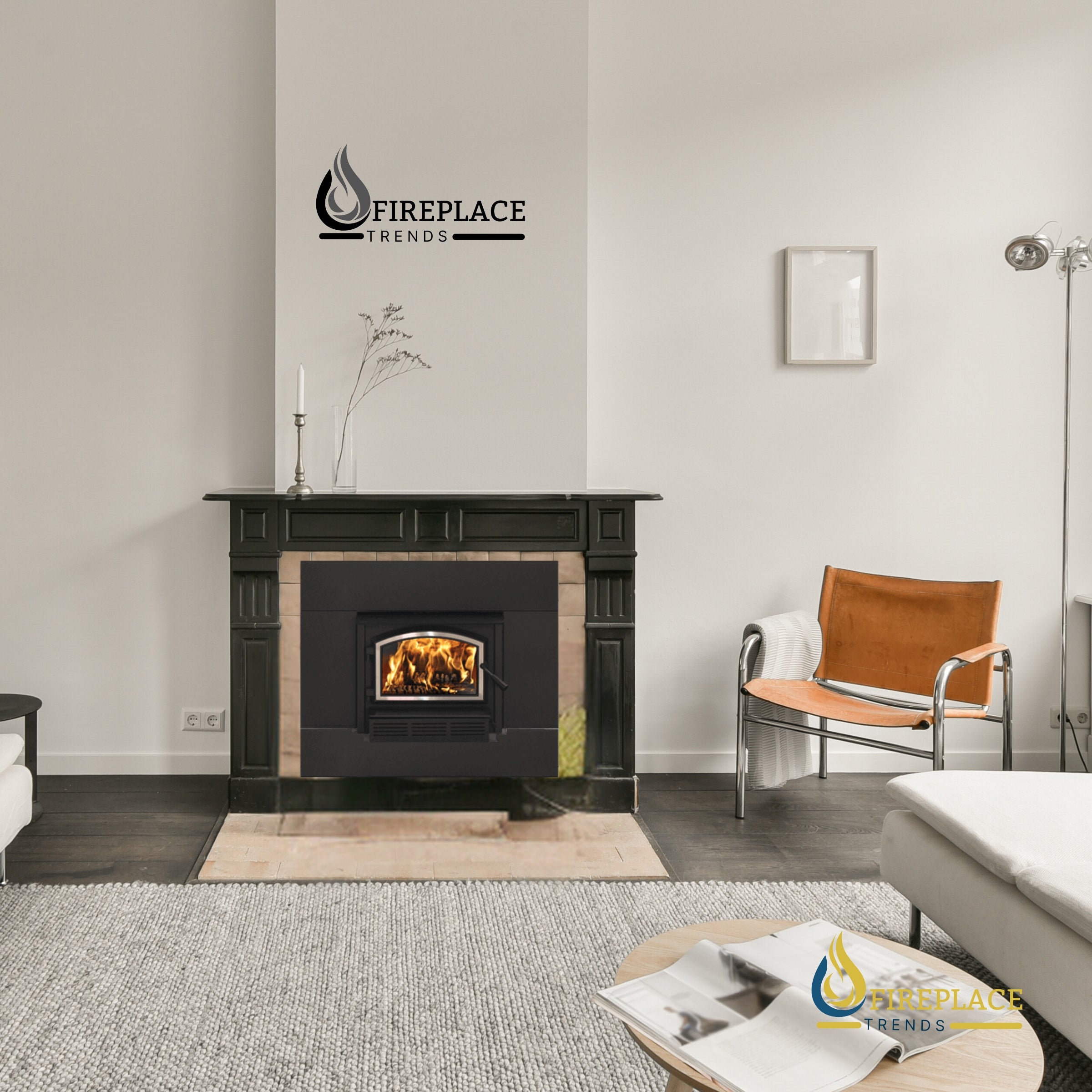 Empire Stove - Archway Wood-Burning Insert at Webstore Fireplace Trends | fireplacetrends.com - Traditional Fireplace