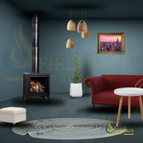 Kingsman - 23" - Free Standing Direct Vent Gas Stove: Elegance Meets Efficiency - FDV200S